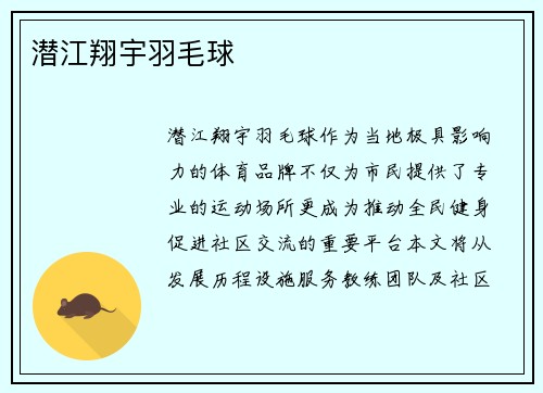 潜江翔宇羽毛球